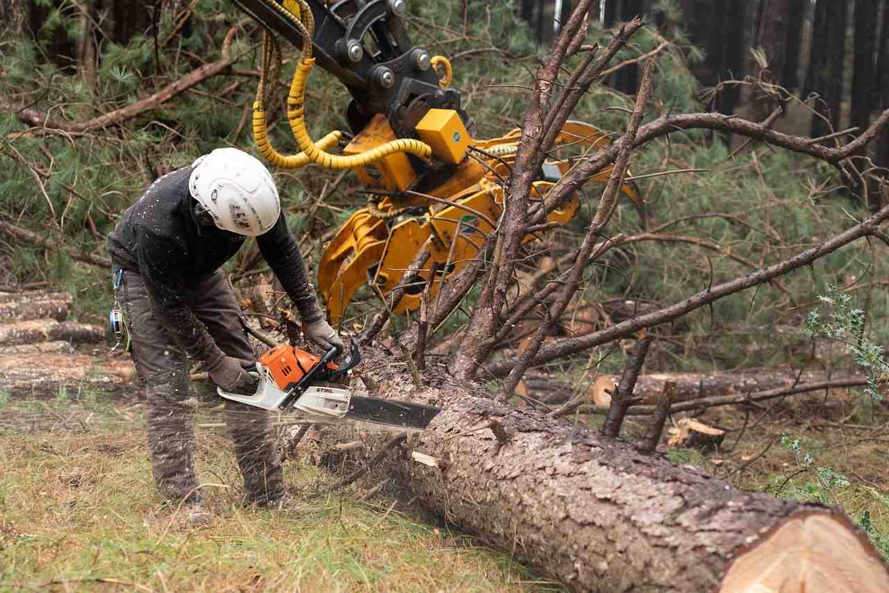 Forestry Whatsapp Group Links Joining List
