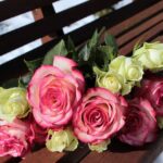 Rose Day Whatsapp Group Links